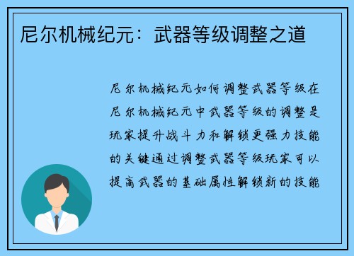 尼尔机械纪元：武器等级调整之道